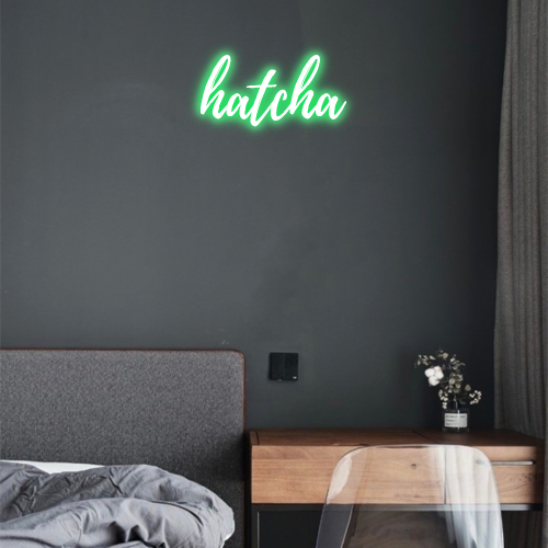 Custom LED Neon Signs