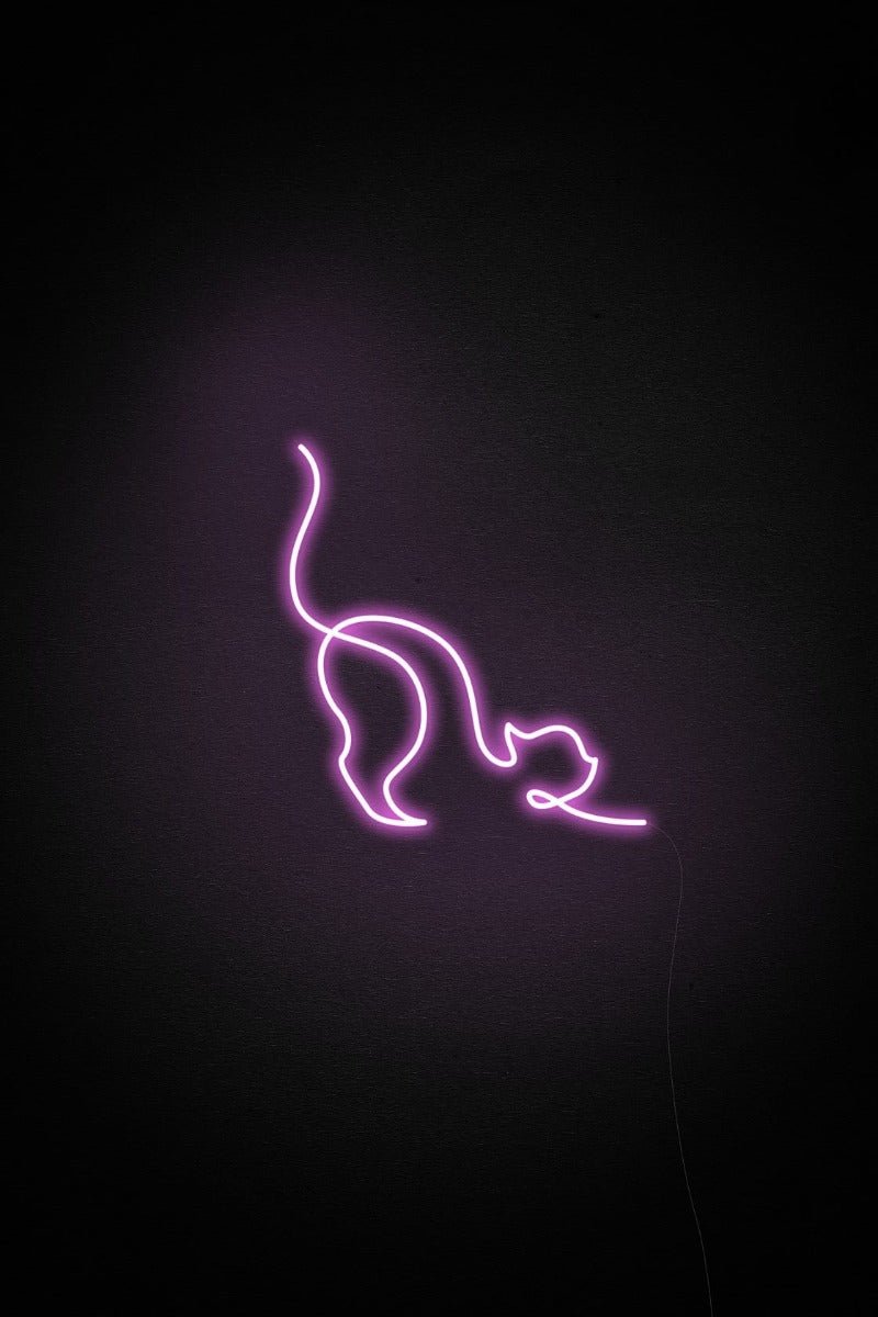 Cat Neon Sign - White