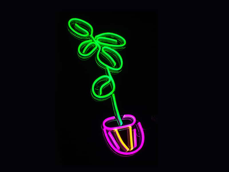 Fiddle Leaf Fig Plant Neon Sign -