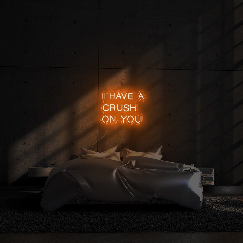 I have a crush on you LED Neon Sign - 24inch x 16inchDark Orange