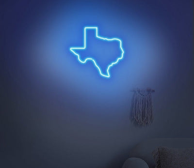 Texas Neon Sign - White